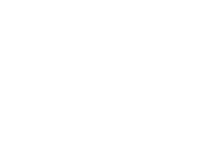 voyage_white